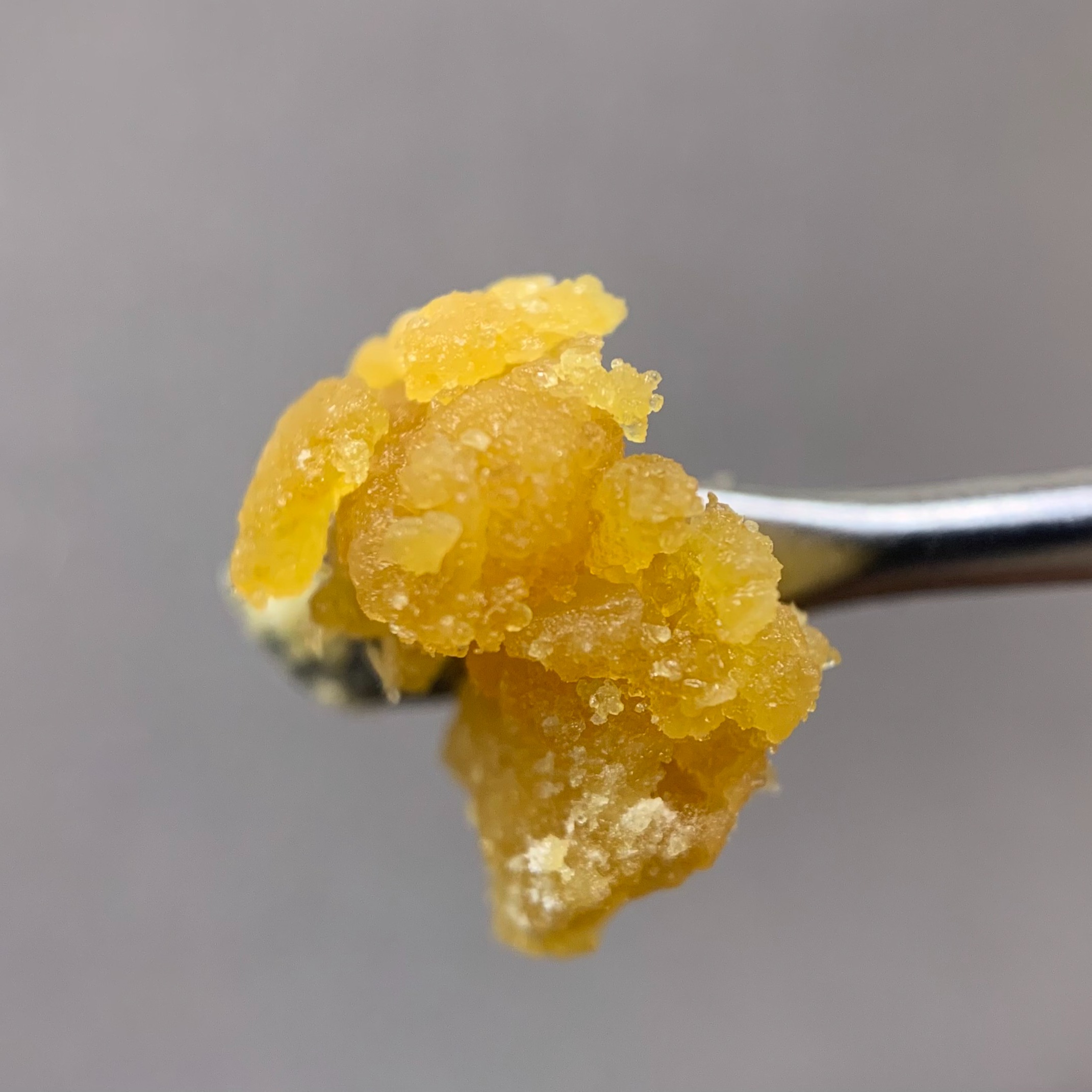 House Blend - Sugar Wax